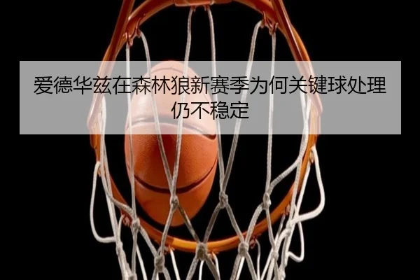 爱德华兹在森林狼新赛季为何关键球处理仍不稳定
